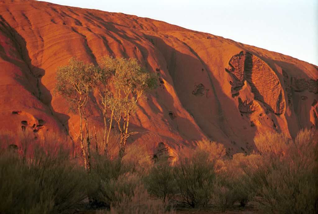 2104-18.jpg - Uluru (Ayers Rock) - [en]"The Brain"[de]"Das Gehirn"